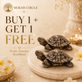 Tortoise Kachhua – Vastu Wealth & Prosperity Symbol